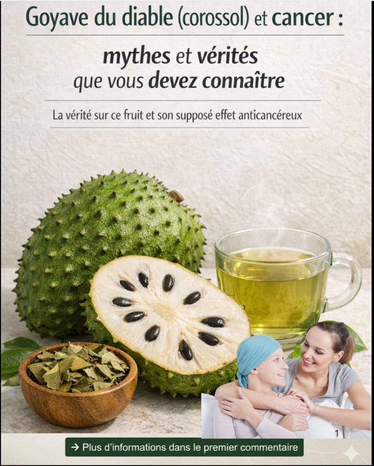 La corossol (guanábana) guérit-elle vraiment le cancer ? Ce que dit la science