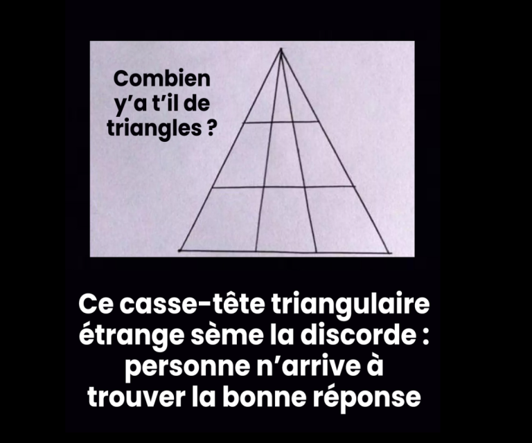 On a passé la journée entière à débattre de cette énigme triangulaire. Et vous, pouvez-vous la résoudre ?