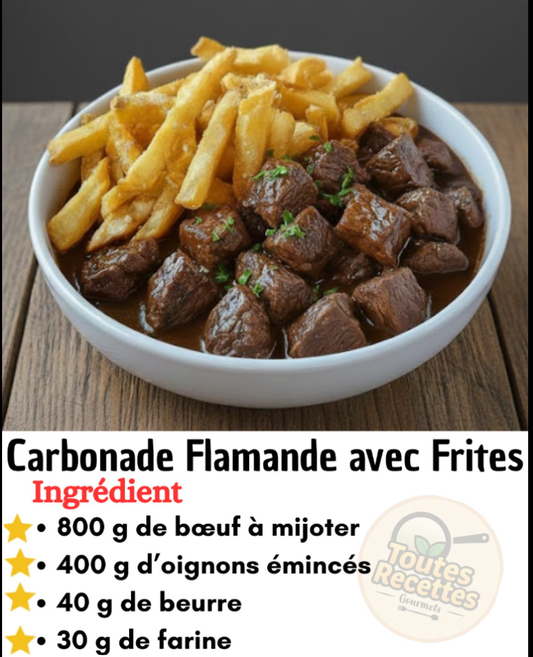 : Flemish Beef Stew with Crispy Homemade Fries