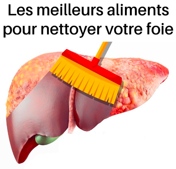 Les meilleurs aliments pour soutenir et nettoyer naturellement le foie