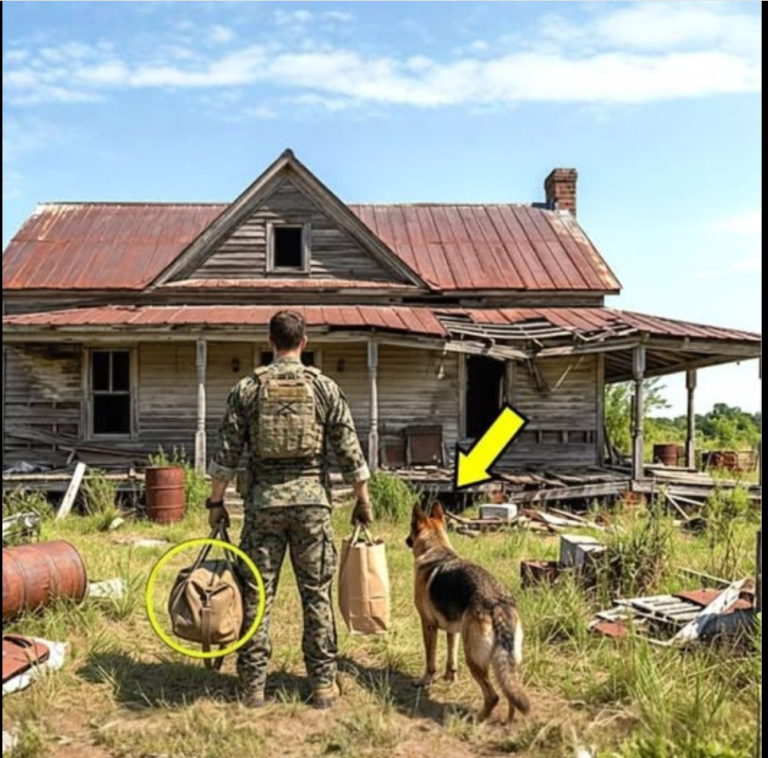 Ignorant de l'héritage de 200 millions de dollars, la famille de sa femme a expulsé le marine américain et ses fils jumeaux de leur domicile, jusqu'à ce que leur chien d'assistance les découvre.