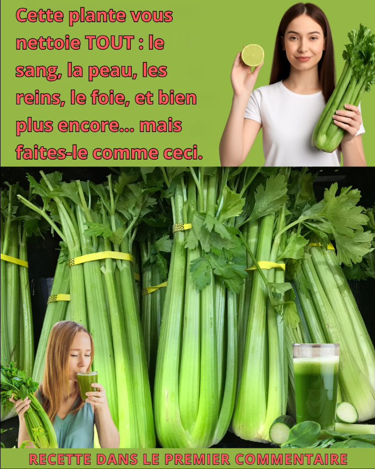 🥬 Jus de céleri pour soutenir la santé des reins, du foie et des poumons — Une boisson détox douce 💚