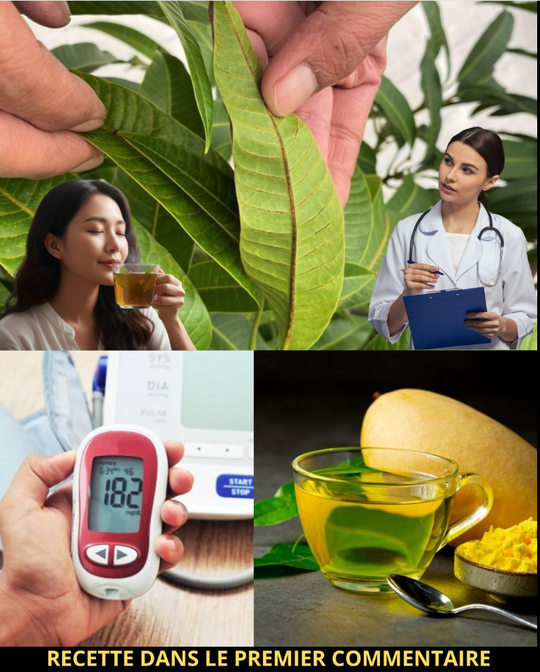 Bienfaits des feuilles de manguier pour la santé : usages, recettes et conseils de précaution