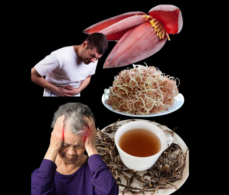 🌸 Fleur de bananier : le superaliment oublié pour l’équilibre hormonal, la digestion et la vitalité naturelle 🌿