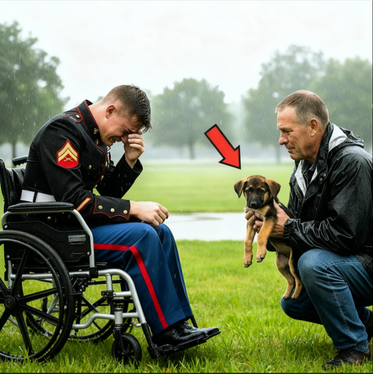 « Un père offre un berger allemand à un marine paralysé : le comportement du chien a stupéfié les médecins. »
