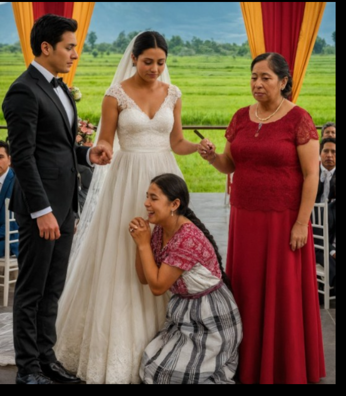 Le jour où mon fils s’apprêtait à dire « oui », alors que l’orchestre jouait et que les invités retenaient leur souffle dans l’attente de la mariée, un événement inattendu bouleversa la cérémonie.