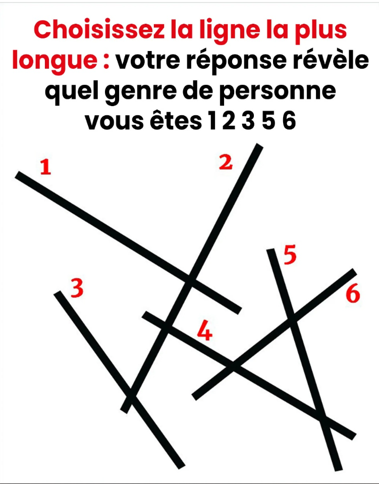 Choisissez la ligne la plus longue, votre réponse révèle le type de personne que vous êtes
