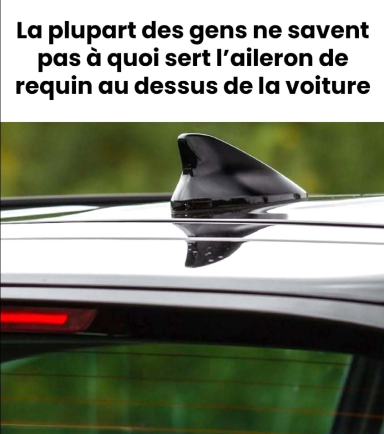 À quoi sert l’aileron de requin au dessus de la voiture ?
