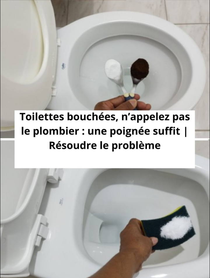 Toilettes bouchées, n’appelez pas le plombier : une poignée suffit | Résoudre le problème