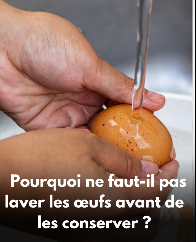 Les œufs font partie des aliments de base que l’on a presque toujours à la maison. Pourtant, beaucoup de personnes commettent une erreur courante qui réduit leur durée de conservation et augmente le risque sanitaire. Bonne nouvelle : il suffit de comprendre un principe clé pour bien conserver ses œufs et les garder frais plus longtemps.