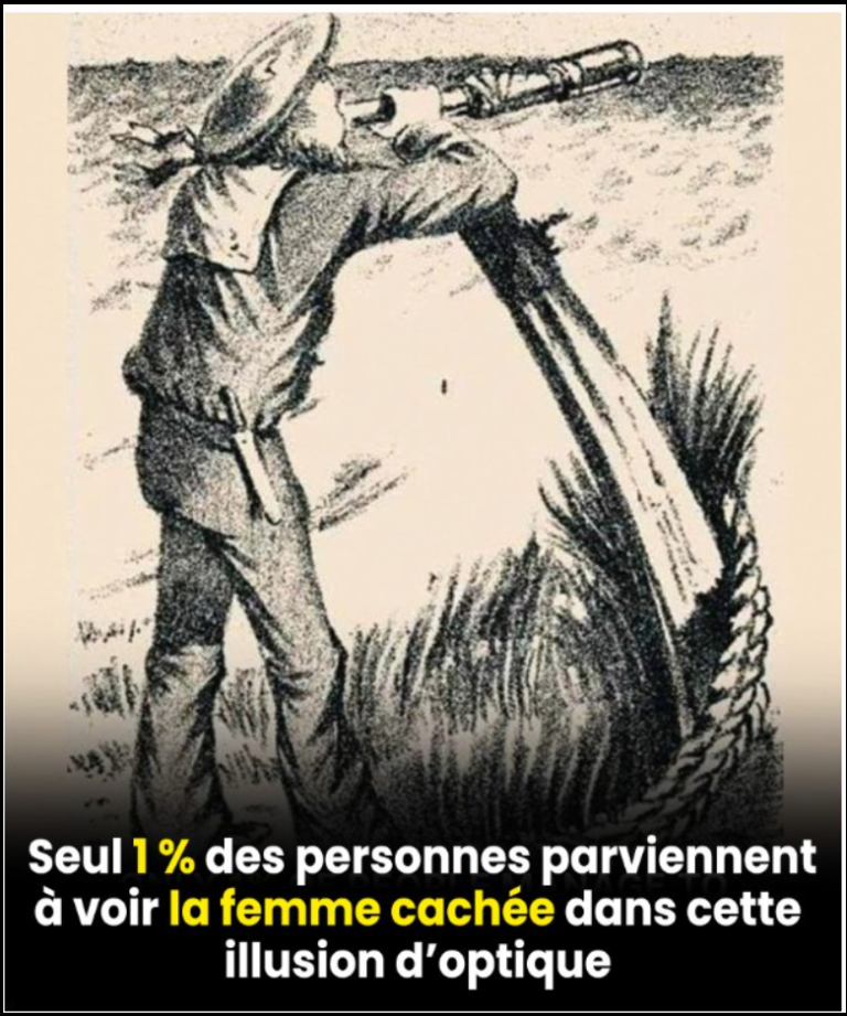 Seules 1 % des personnes parviennent à voir la femme cachée dans cette illusion d'optique.