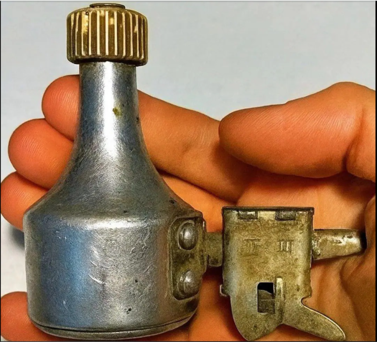 Mon fils a trouvé ça dans notre jardin… et maintenant, on se demande ce que c’est que cette chose étrange. Vous reconnaissez ce qu’il y a sur la photo ?